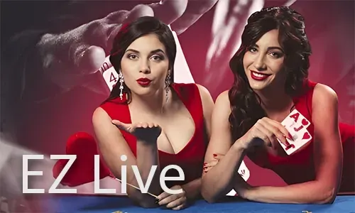 Dynamic Sportsbook Casino Logo
