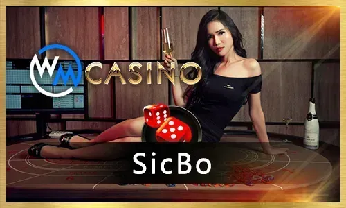 Premier Live Casino Logo